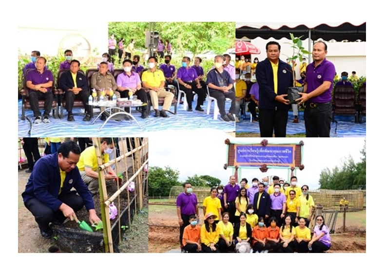 ขอนแก่น เลือกโรงเรียนเทศบาลบ้านหนองใหญ่ เป็นพื้นที่ปลูกเมล็ดพันธุ์ผักพระราชทาน ในกรมสมเด็จพระเทพฯ เพื่อมุ่งเป็นศูนย์การเรียนรู้ฯ