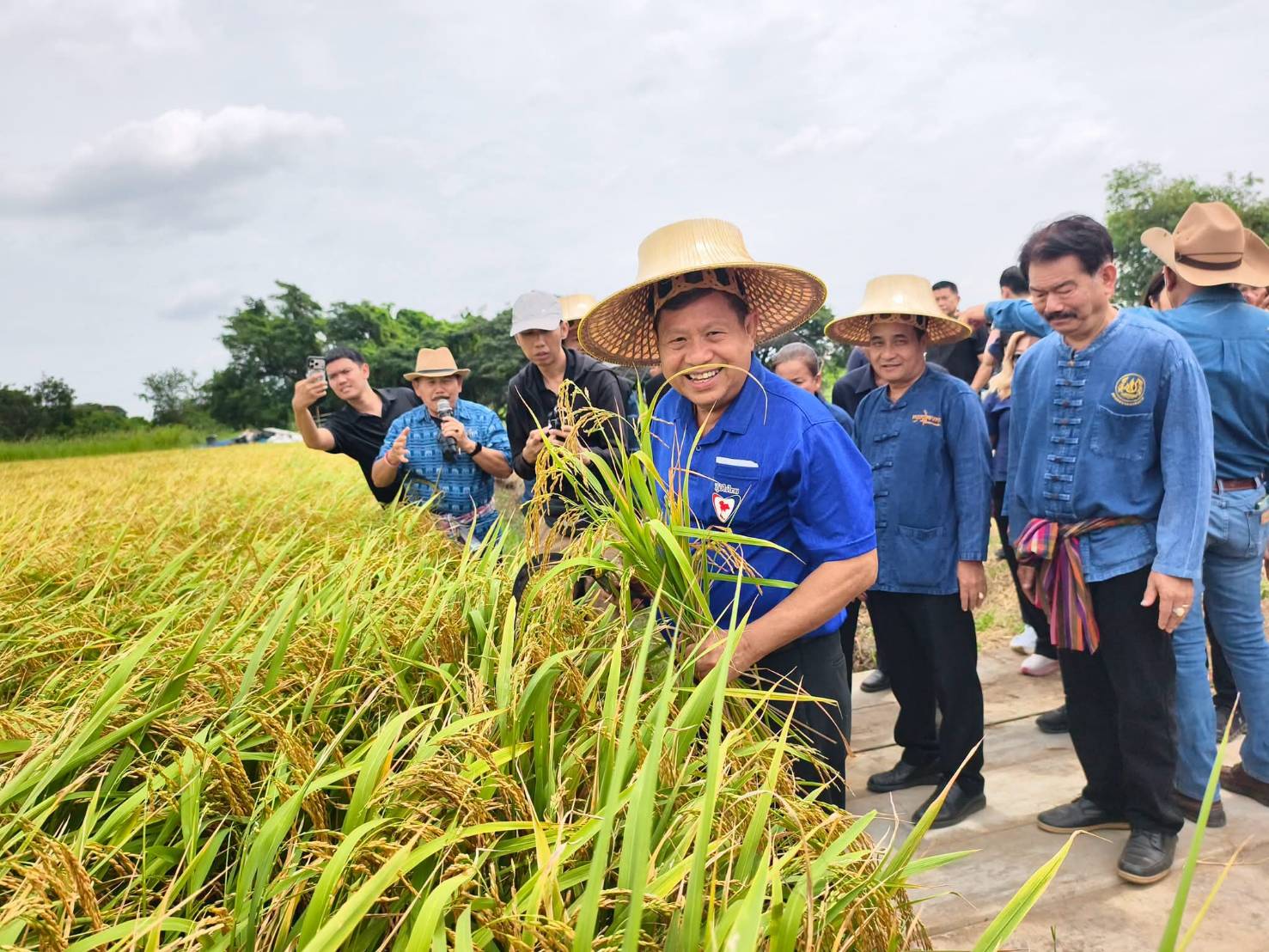 สะเทือนทุ่งป่าโมก! อ่างทองโชว์เกี่ยวข้าว "กข 87" แปลงสาธิตไฮเทค อดีตรมว.เกษตรฯ ร่วมการันตี พันธุ์ข้าวนุ่มกำไรทะลัก