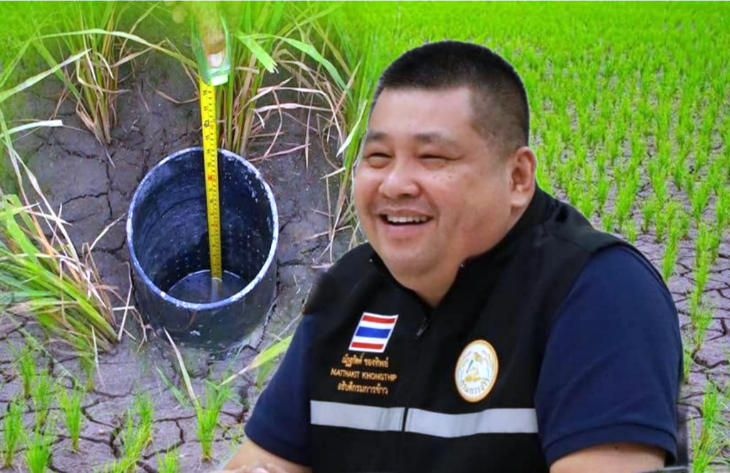 ชูทำนา “เปียกสลับแห้ง” งดเผาตอซัง เสริมรายได้ขายคาร์บอนเครดิต