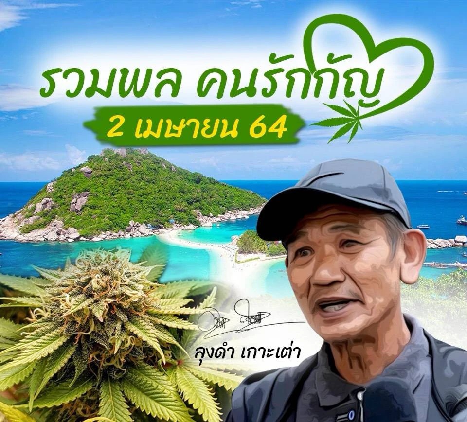 TCI ประกาศเชิญชวนผู้สนใจเข้าอบรมปลูกกัญชาเฟส 1 จำนวน 300 คน เริ่มลงทะเบียนรับสิทธิ์ 2 เม.ย.นี้