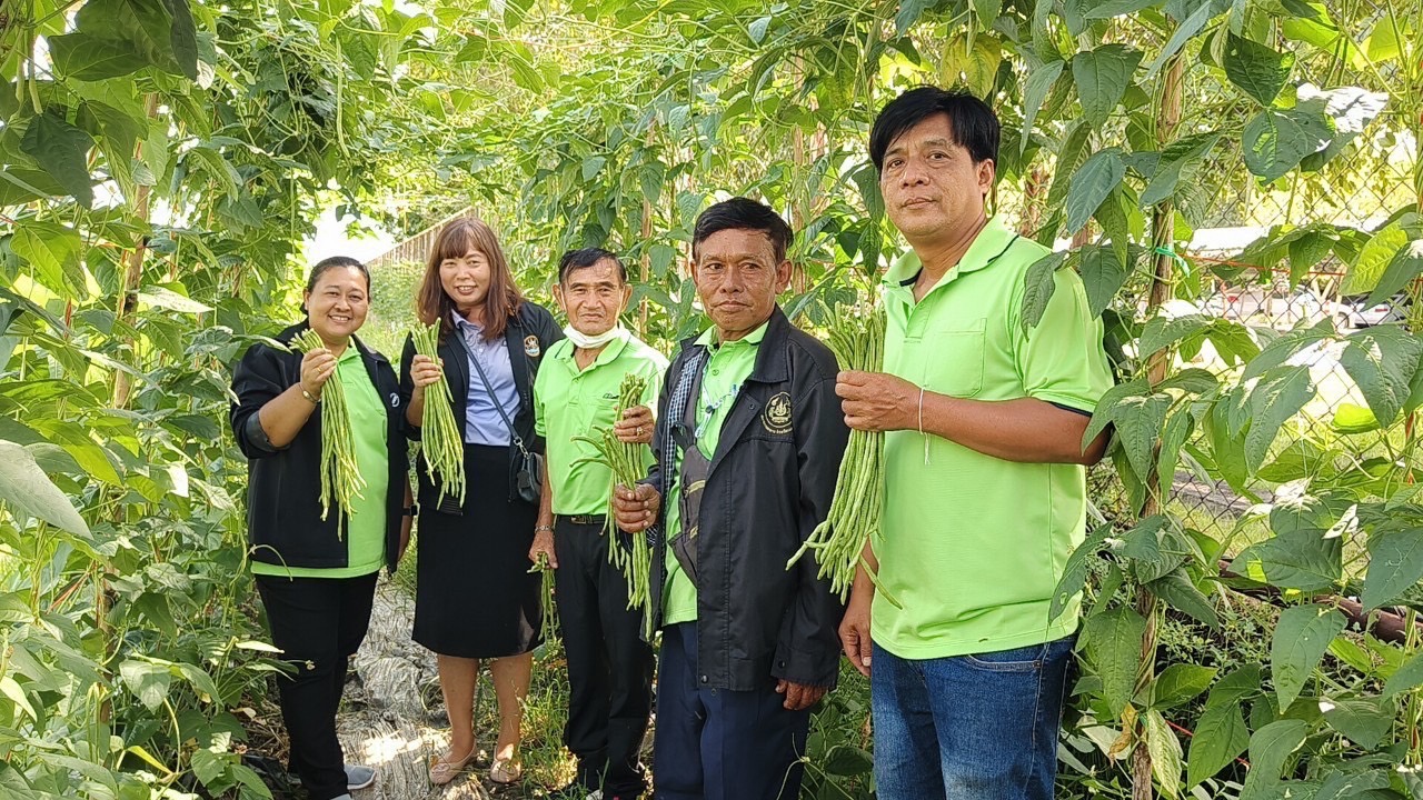 จากปรับโครงสร้างสู่ทางแก้หนี้สหกรณ์ เพาะเลี้ยงไม้ดอกเพิ่มรายได้ทางรอดสมาชิก  สหกรณ์ฯเมืองเก่า จก.  