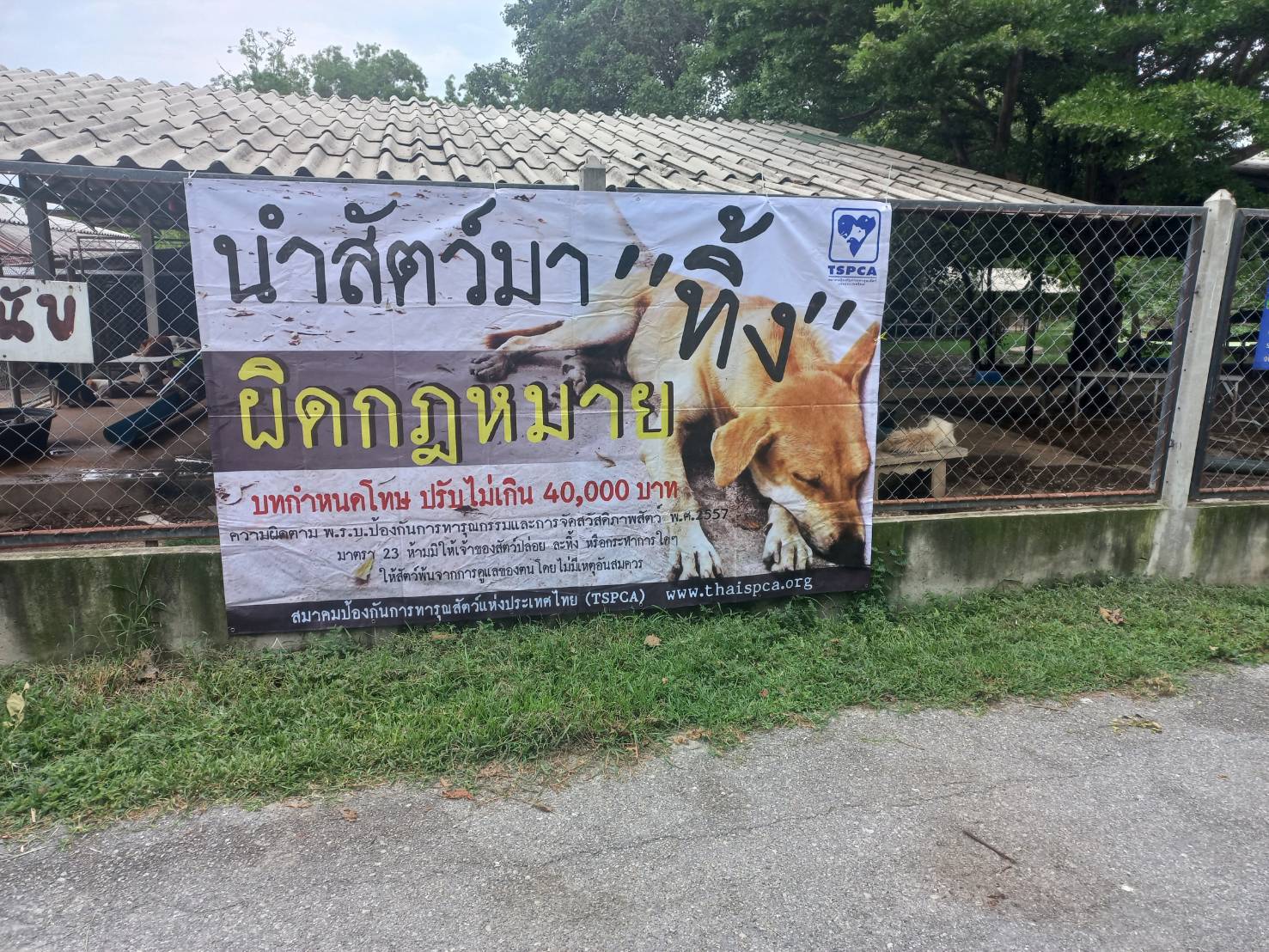 เลขา TSPCA ชี้ทำบุญต้องไม่ทารุณสัตว์ ทิ้งสัตว์เป็นต้นทางแห่งการทารุณ 