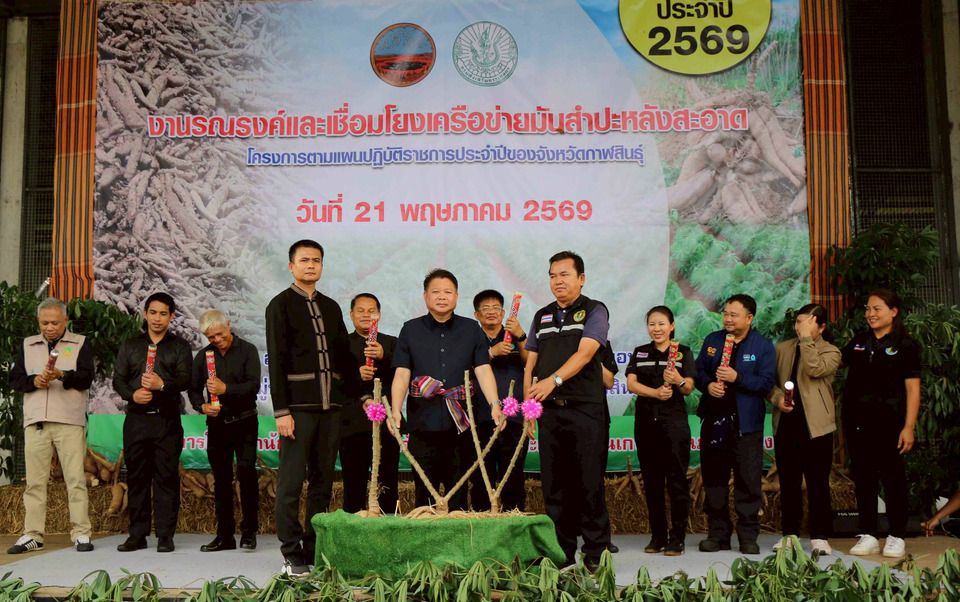 กาฬสินธุ์ขับเคลื่อน “มันสำปะหลังสะอาด” ยกระดับผลผลิต–ลดต้นทุนเกษตรกรทั่วจังหวัด 