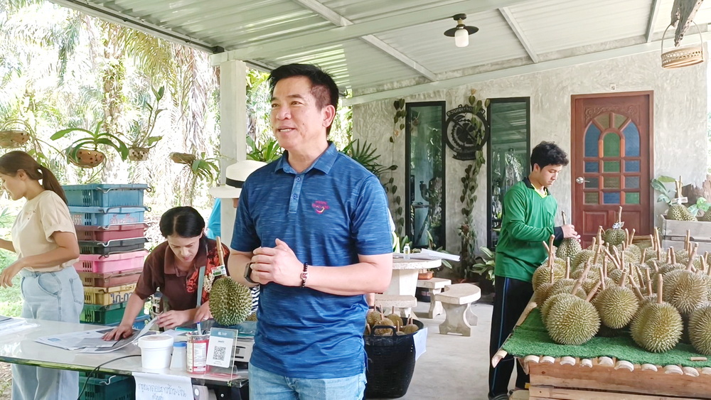 นักท่องเที่ยวแห่กินทุเรียนสาลิกาถึงในสวน ด้านททท.พังงาแจกคูปอง100บาทกระตุ้นท่องเที่ยว