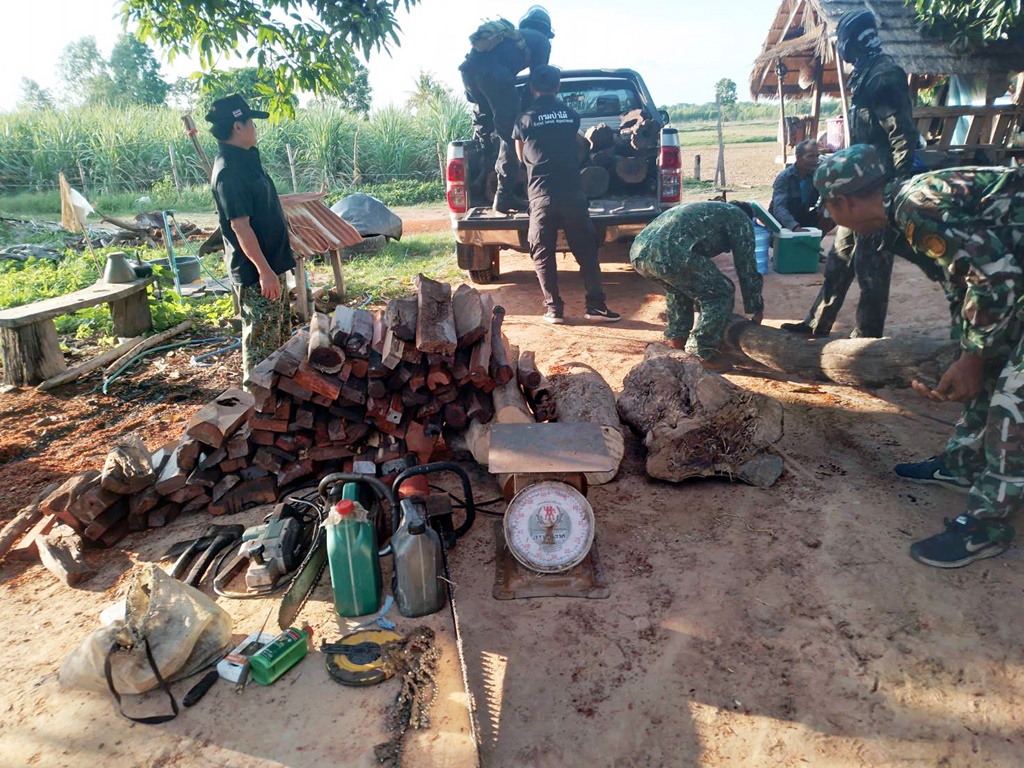 ตำรวจ ภ.จว.สุรินทร์-ปทส. ตรวจยึดไม้พะยูงท่อน 25 ท่อน ถูกลักลอบตัดเขตพื้นที่ อ.ปราสาท