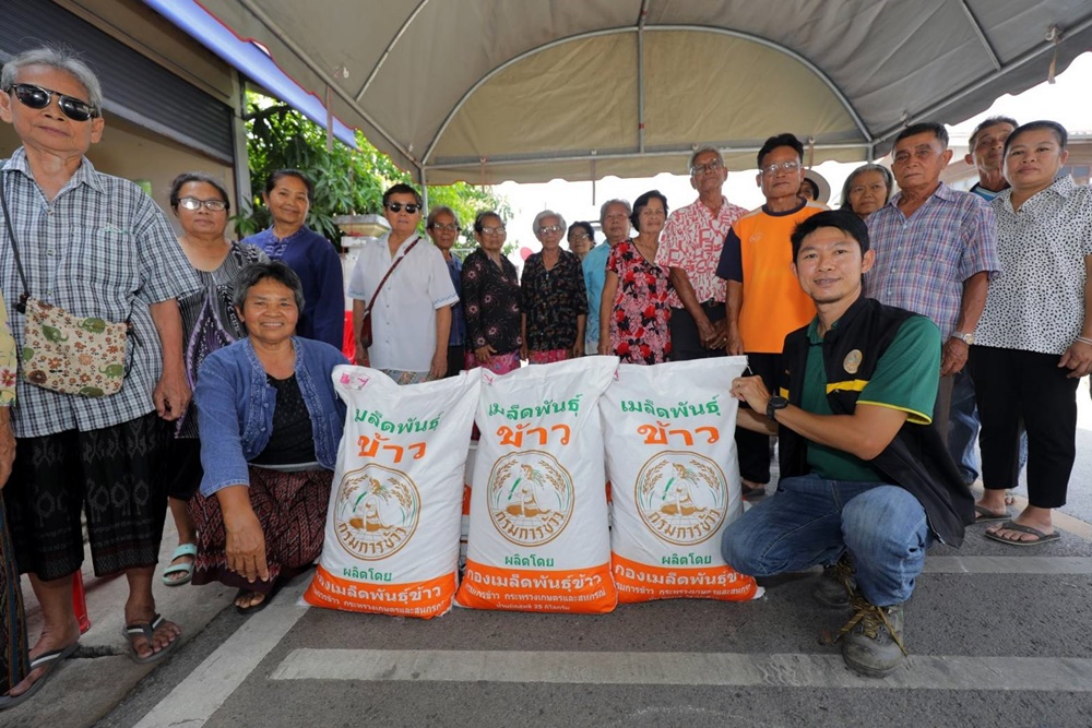 กรมข้าว มุ่งส่งเสริมเกษตรกรเปลี่ยนเมล็ดพันธุ์ข้าว การันตีเมล็ดพันธุ์ดี ปลูกข้าวได้ผลผลิตดีแน่นอน
