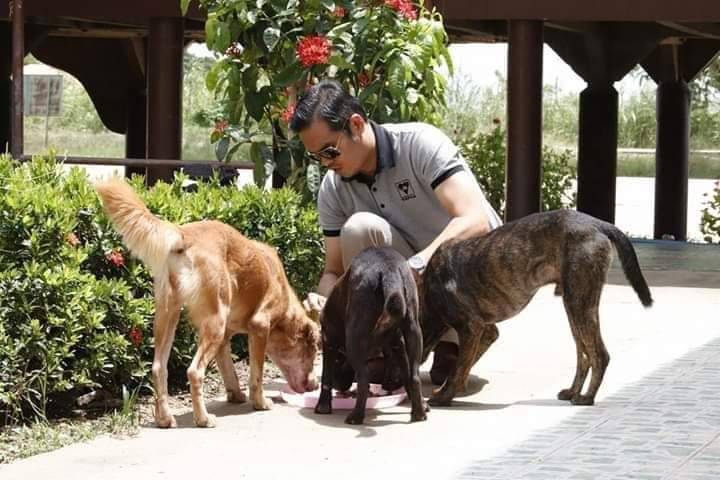 "TSPCA" ลงพื้นที่ช่วยเหลือสัตว์ ในสถานการณ์การระบาดของโควิด-19 
