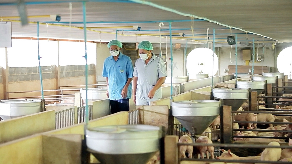 ชูความสำเร็จระบบ "Biosecurity" หนุนเกษตรกรคอนแทรคฟาร์มมิ่ง สร้างอาหารมั่นคง