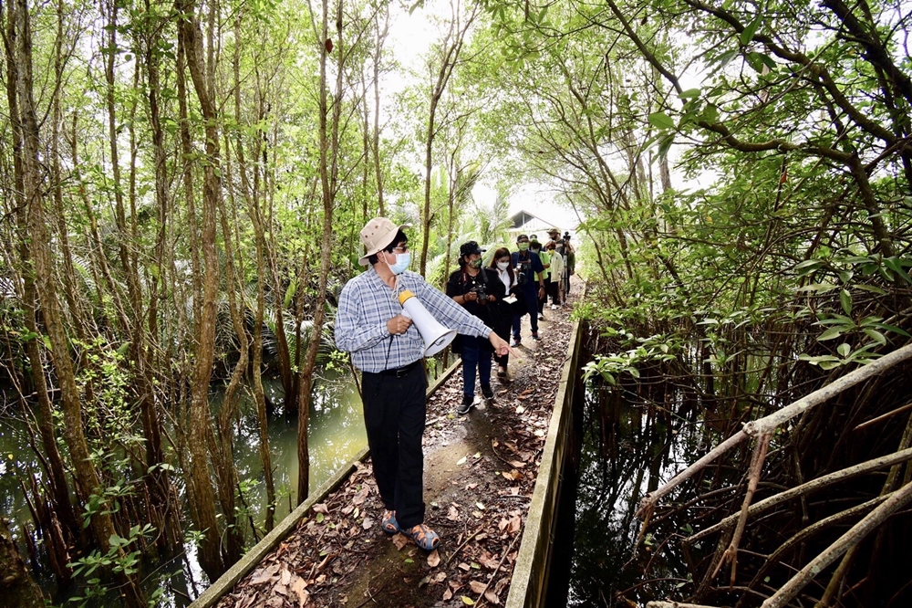 วช. ผนึก ม.หาดใหญ่ พลิกฟื้น “ป่าชายเลนทะเลสาบสงขลา” เสริมระบบนิเวศ และอาชีพยั่งยืน