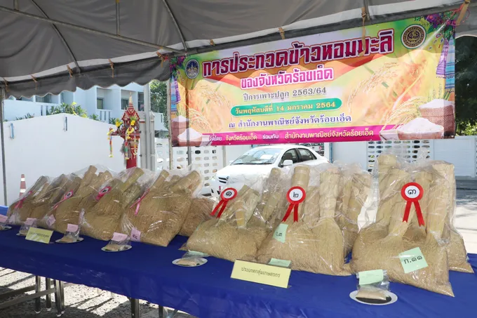  "ข้าวหอมมะลิ ต.เมืองทอง"  คว้าทุกรางวัล การประกวดข้าวหอมมะลิจังหวัดร้อยเอ็ด ปีการเพาะปลูก 2563/64 