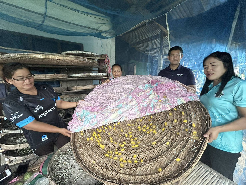ยโสธรส่งเสริมเกษตรกรค้อวัง ปลูกหม่อนเลี้ยงไหม สร้างรายได้ชุมชนยั่งยืน