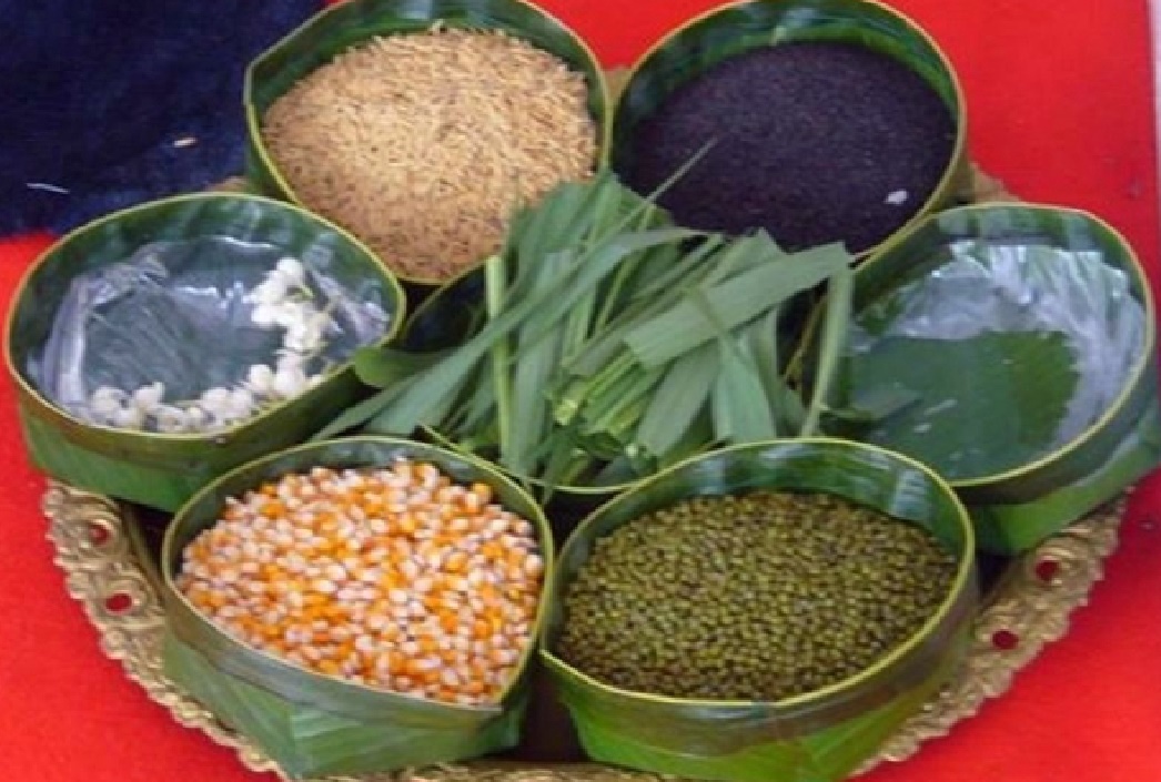 พระโคเสี่ยงทายวันพืชมงคล กินหญ้า-เหล้า