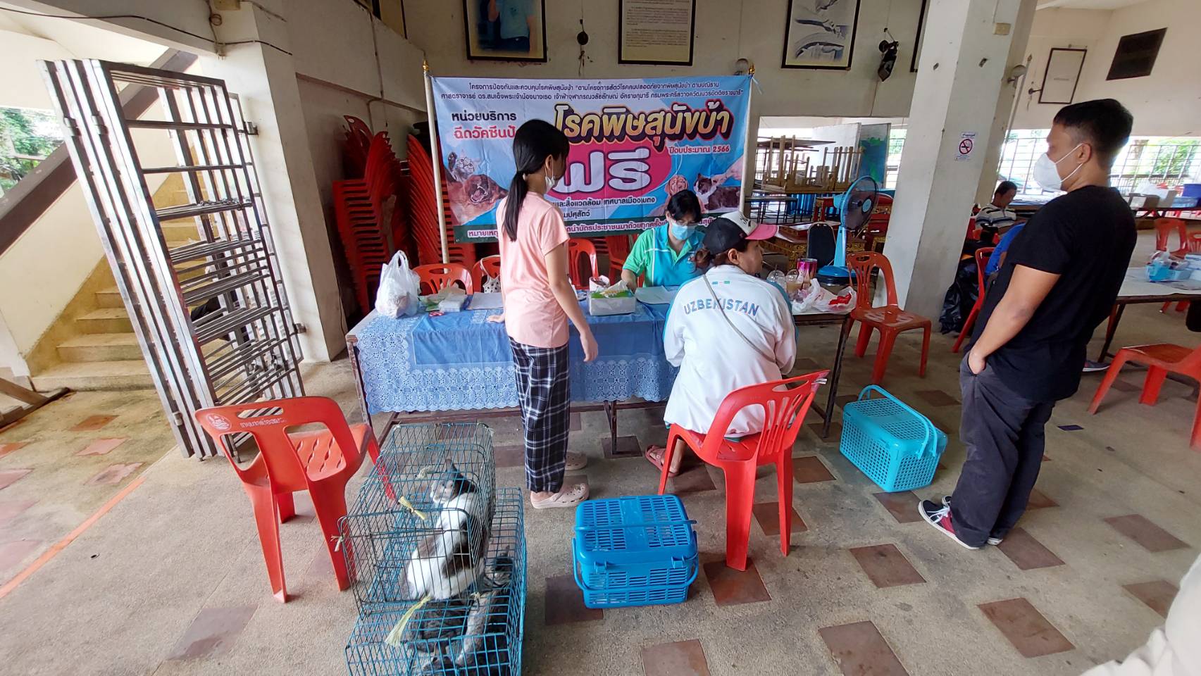 กลุ่มชมรมหมาหัวเน่าเบตงรวมตัวกันออกตระเวนฉีดวัคซีนป้องกันพิษสุนัขบ้าและทำหมันฟรี ให้หมาในพื้นที่ 
