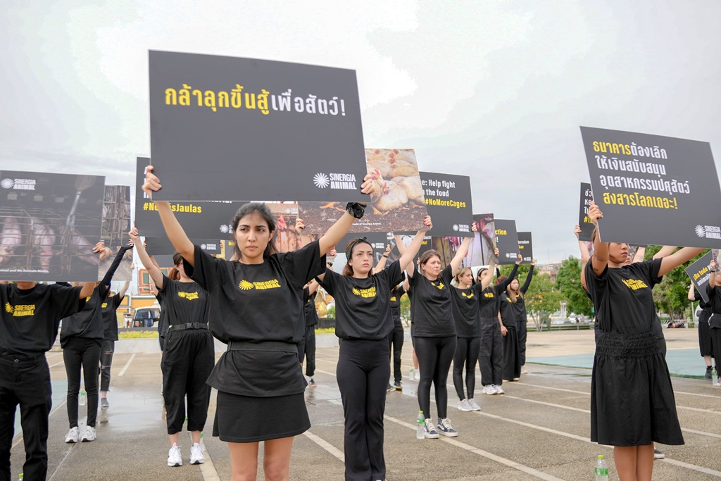 องค์กรพิทักษ์สัตว์ฯ ระดมนักกิจกรรมจาก 6 ประเทศ รณรงค์ทวงคืนความยุติธรรมให้สัตว์