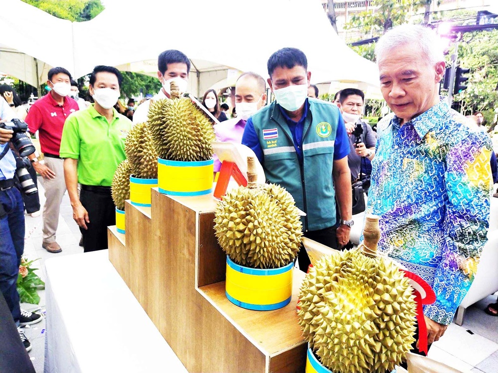 “บลูพอร์ต” จัดเทศกาลผลไม้ “FRUIT&FRESH FAIR 2023” เอาใจคอทุเรียนป่าละอู 