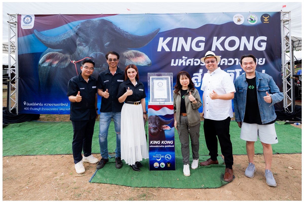 คิงคอง ควายไทย 185 ซม.ทำลายสถิติโลก ควายน้ำที่สูงที่สุดในโลกจาก Guinness World Records 