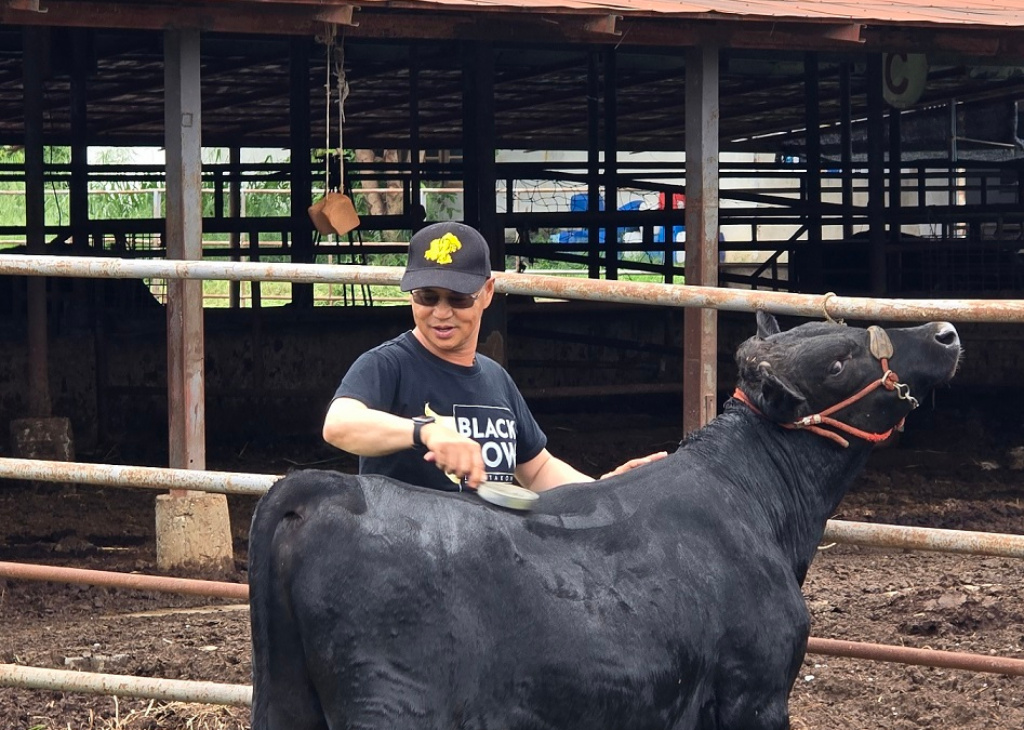 เนื้อโคพรีเมี่ยม "BLACK COW LAMTAKHONG" เพิ่มกำลังผลิต ตั้งเป้า Soft Power ของไทย
