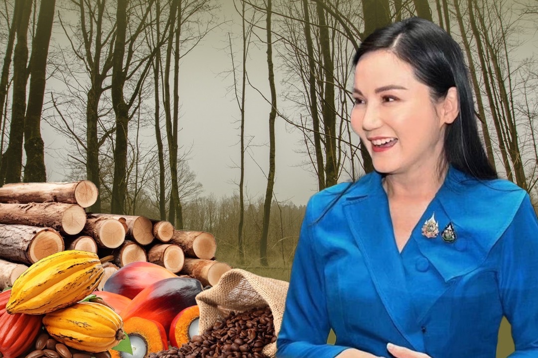 “รมว.นฤมล” แจ้งข่าวดี ไทยถูกจัดให้อยู่ในกลุ่ม "Low Risk"ตามกฎ EUDR เอื้อส่งออกสินค้าเกษตรไปยุโรปง่ายขึ้น