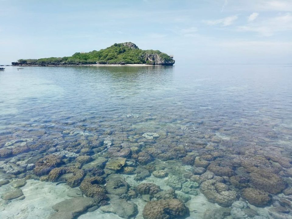 ประจวบฯเตรียมเปิดเกาะจานให้นักท่องเที่ยวดำน้ำดูปะการังสวยสุดในอ่าวไทย