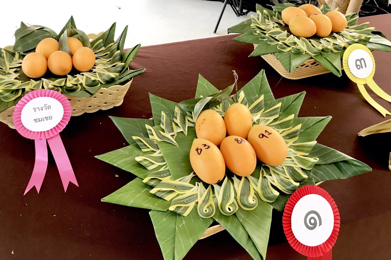 นครนายกเปิดแล้ว! งานมะยงชิด มะปรางหวาน และของดีนครนายก Fruit & Food Fest 2023 