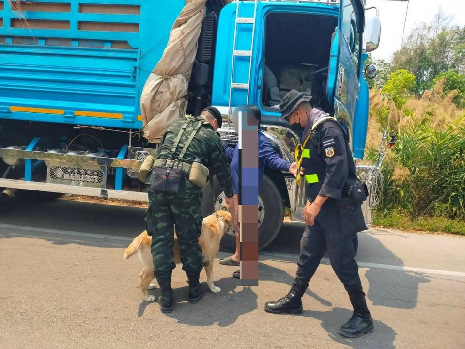 รวบคนขับสิบล้อ ซุกยาบ้า 22 เม็ด อ้างซื้อไว้เสพ เจอด่านทหารพราน-สุนัขทหารดมกลิ่นจนมุม 