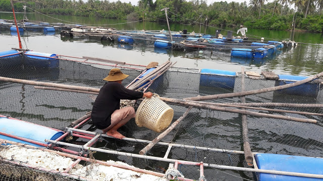สภาเกษตรฯ ตระหนักผลกระทบเกษตรกรผู้เลี้ยงปลาในกระชัง พื้นที่กว่า 60 จังหวัด จาก พรบ.การเดินเรือฯ อาจลุกลามเศรษฐกิจและสังคม