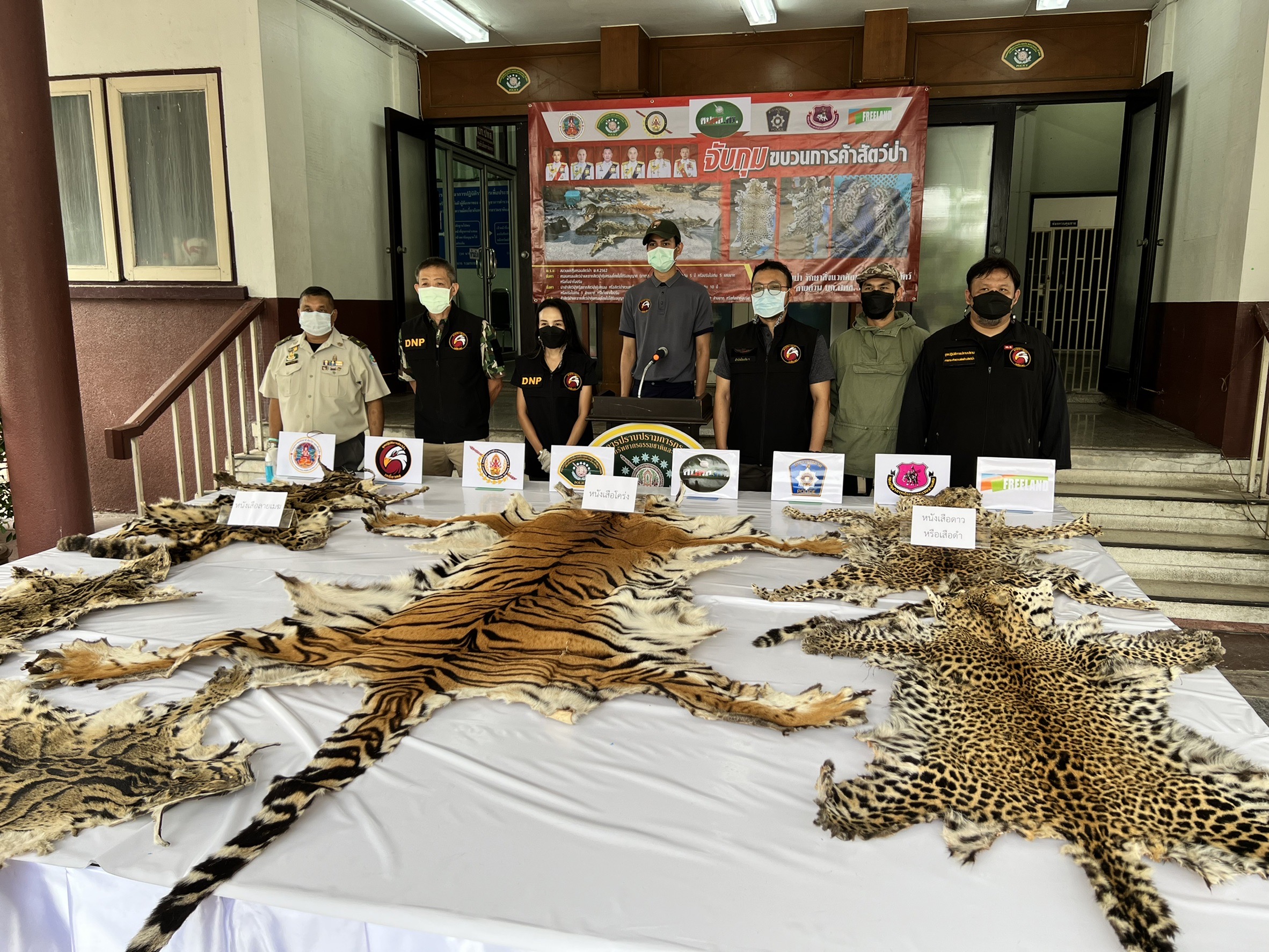 ตร.ปทส.จับกุมผู้ต้องหาพร้อมสัตว์ป่าและซากของสัตว์ป่าคุ้มครองโดยไม่ได้รับอนุญาต ในพื้นที่กาญจนบุรี