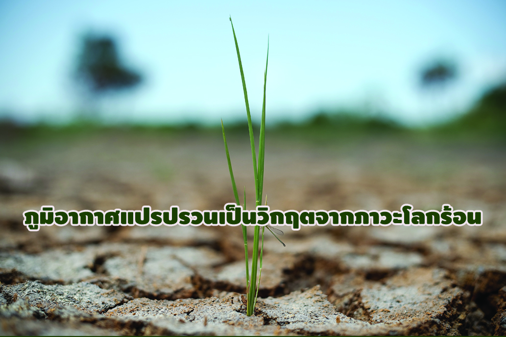 ภูมิอากาศแปรปรวนเป็นวิกฤตจากภาวะโลกร้อน