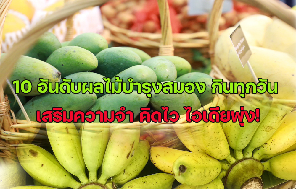 10 อันดับผลไม้ "บำรุงสมอง" กินทุกวัน เสริมความจำ คิดไว ไอเดียพุ่ง!