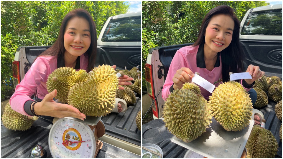 ความสุขออกดอกออกผล! สวนทุเรียน “ต่าย อรทัย” เปิดฤดูกาลแรก กระแสจองล้น แฟนคลับแห่อุดหนุน