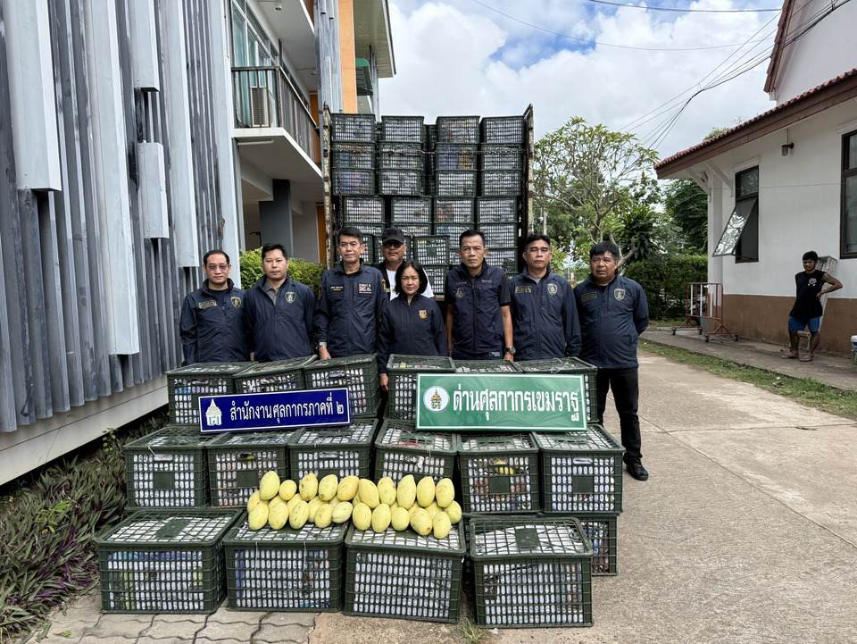 ศุลกากรภาค 2 ยึด “มะม่วงต่างประเทศ” ลอบนำเข้า มูลค่ากว่า 3.8 แสนบาท ที่มุกดาหาร
