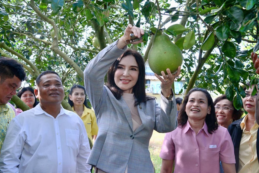 "มนัญญา" ดันกลุ่มฯบ้านแสงวิมาน ผลิตส้มโอทับทิมสยาม GAP ส่งตลาดใน-นอกประเทศ