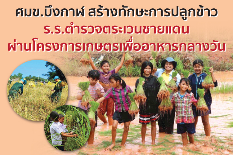 ศมข.บึงกาฬ สร้างทักษะการปลูกข้าว ร.ร.ตำรวจตระเวนชายแดน ผ่านโครงการเกษตรเพื่ออาหารกลางวัน 