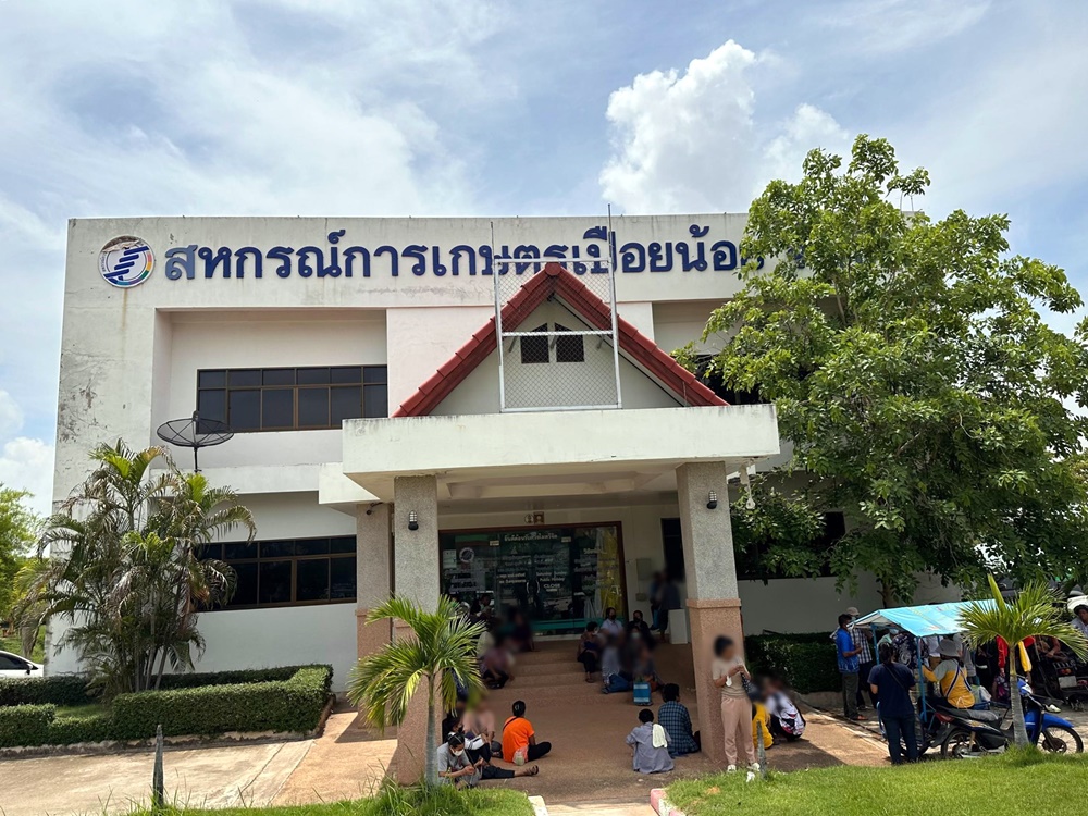 ด่วน!! สั่ง คกก.สหกรณ์เปือยน้อย 13 คน หยุดปฏิบัติหน้าที่ ขีดเส้น 15 วัน ตรวจสอบการยักยอกเงินสมาชิก