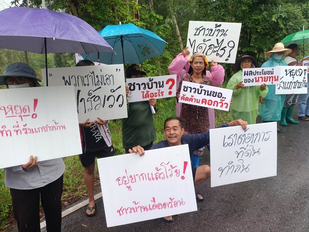 ชาวบ้านทับสะแก ถือป้ายค้านทุนใหญ่ใช้พื้นที่ 300 ไร่ ป่าสนเหมืองแร่ร้างทำฟาร์มโคเนื้อส่งออก