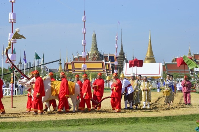 องค์ความรู้ "พระราชพิธีพืชมงคลจรดพระนังคัลแรกนาขวัญ"