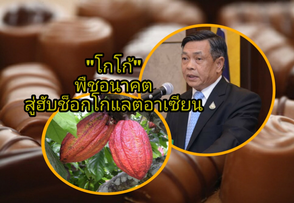 จากโกโก้พืชอนาคตสู่ฮับช็อกโกแลตอาเซียน ตอบโจทย์อุตสาหกรรมอาหารบนฐานเกษตรยุคโควิด