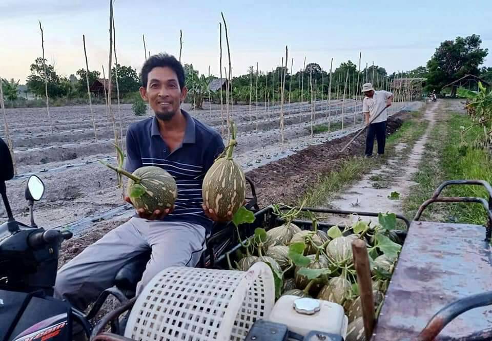 ศูนย์ฯพิกุลทองพลิกผืนดินทรายจัดสู่เกษตรพอเพียง