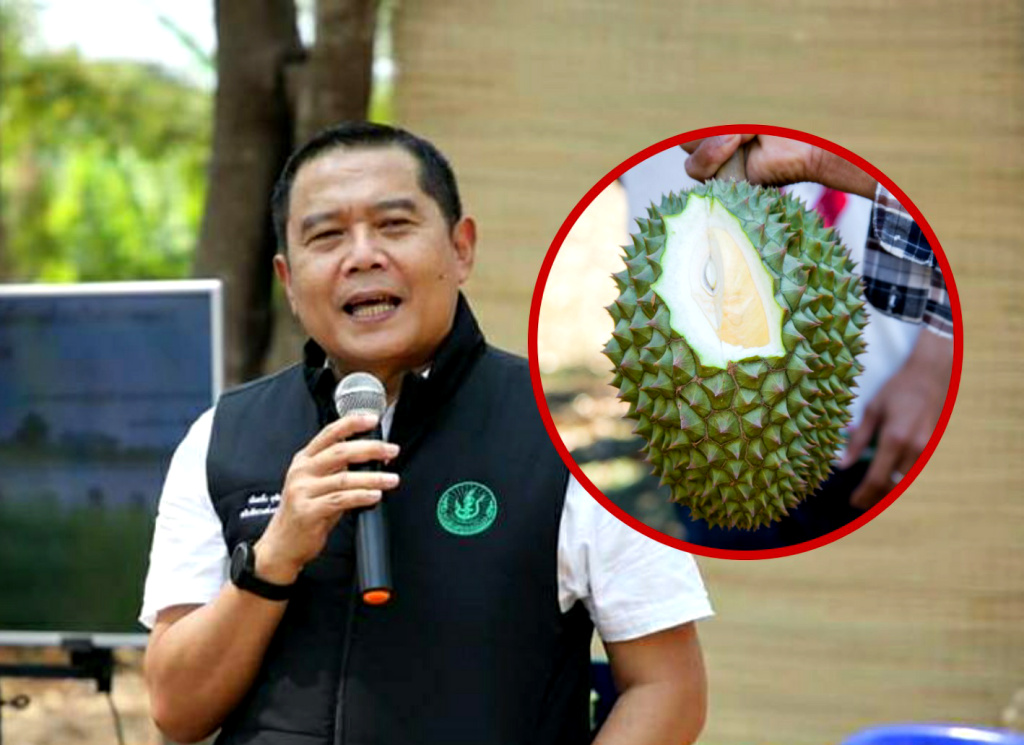 เริ่มดีเดย์!! 10 เมษา ตัดทุเรียนแก่ สกัดปัญหาทุเรียนอ่อน 