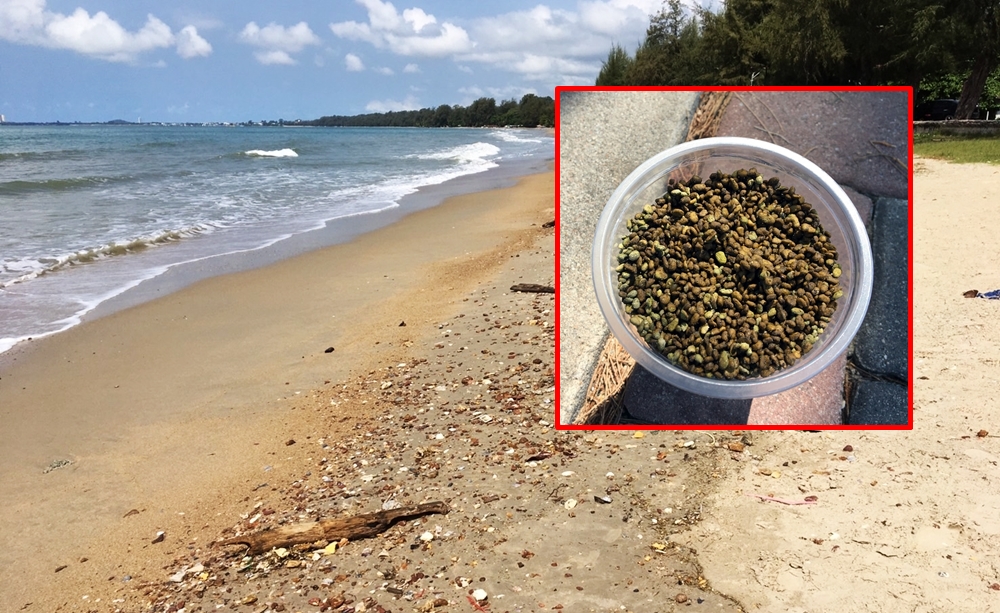 พบทาร์บอลเม็ดสีน้ำตาลคล้ายหินภูเขาไฟ โผล่! ชายหาดสวนสน เร่งตรวจเกิดจากใช้สารเคมีสลายคราบน้ำมันรั่วหรือไม่