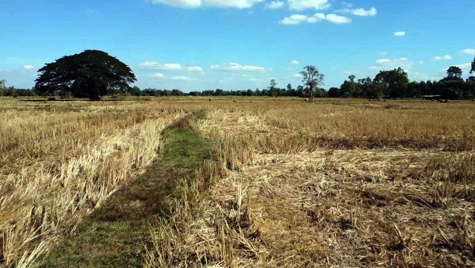 ผู้ว่าฯสกลนคร สั่งห้ามเผาทุกพื้นที่–ทุกกรณี เดินหน้าคุมเข้มป้องกันฝุ่น PM 2.5