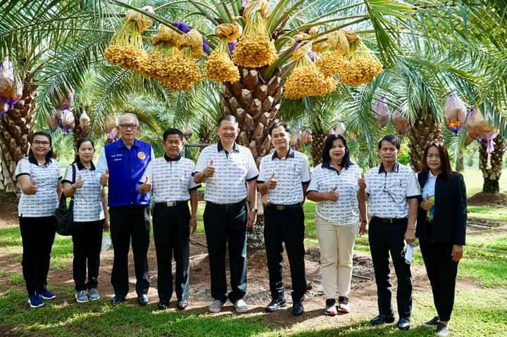 อบจ.เพชรบูรณ์  ชวน นทท.  ร่วมงาน "อินทผลัม & บอลลูน เฟสติวัล เพชรบูรณ์"