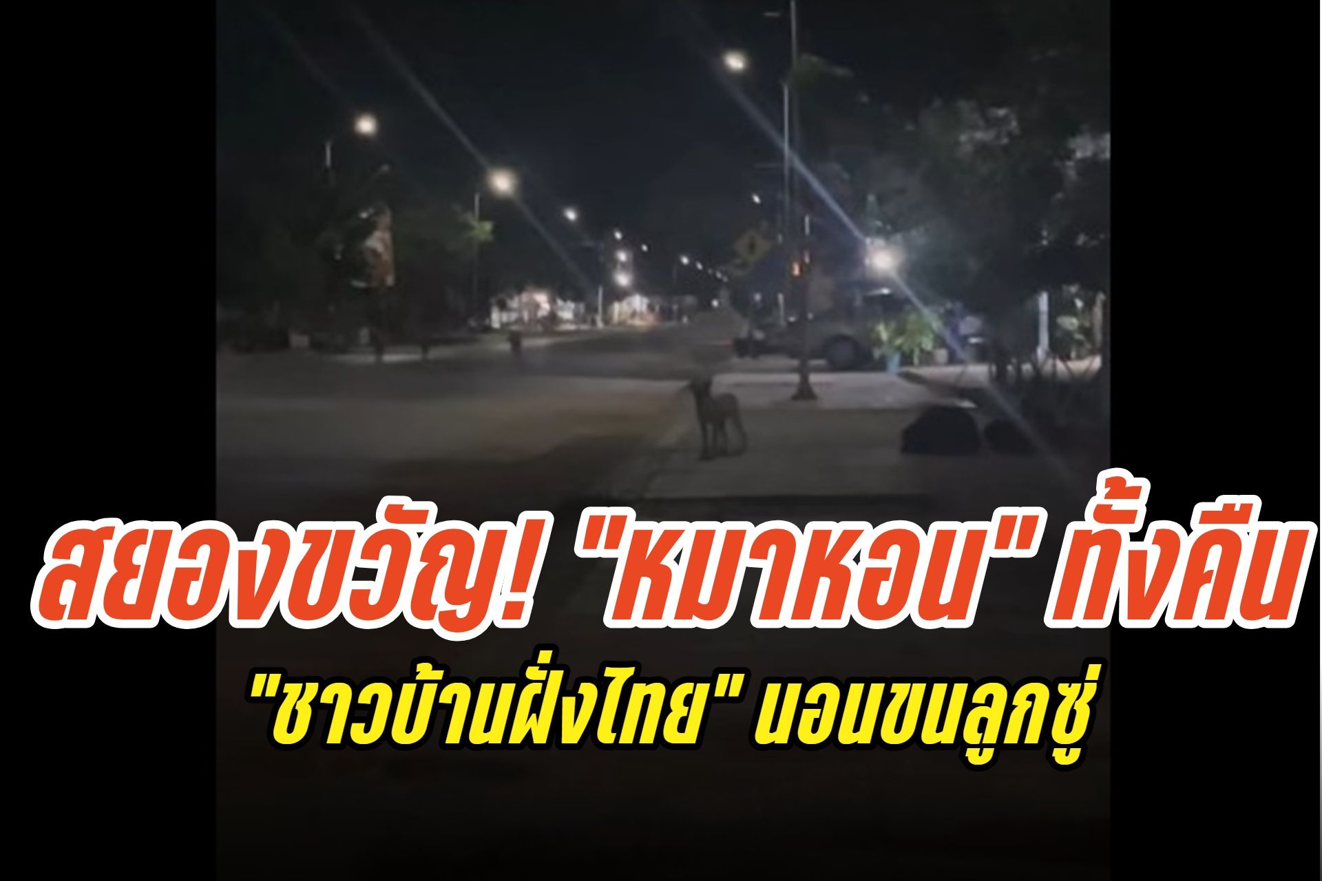 สยองขวัญ! "หมาหอน" พร้อมกัน 2 จังหวัดชายแดนกัมพูชา นานกว่า 90 นาที "ชาวบ้านฝั่งไทย" นอนขนลูกซู่  (มีคลิป)