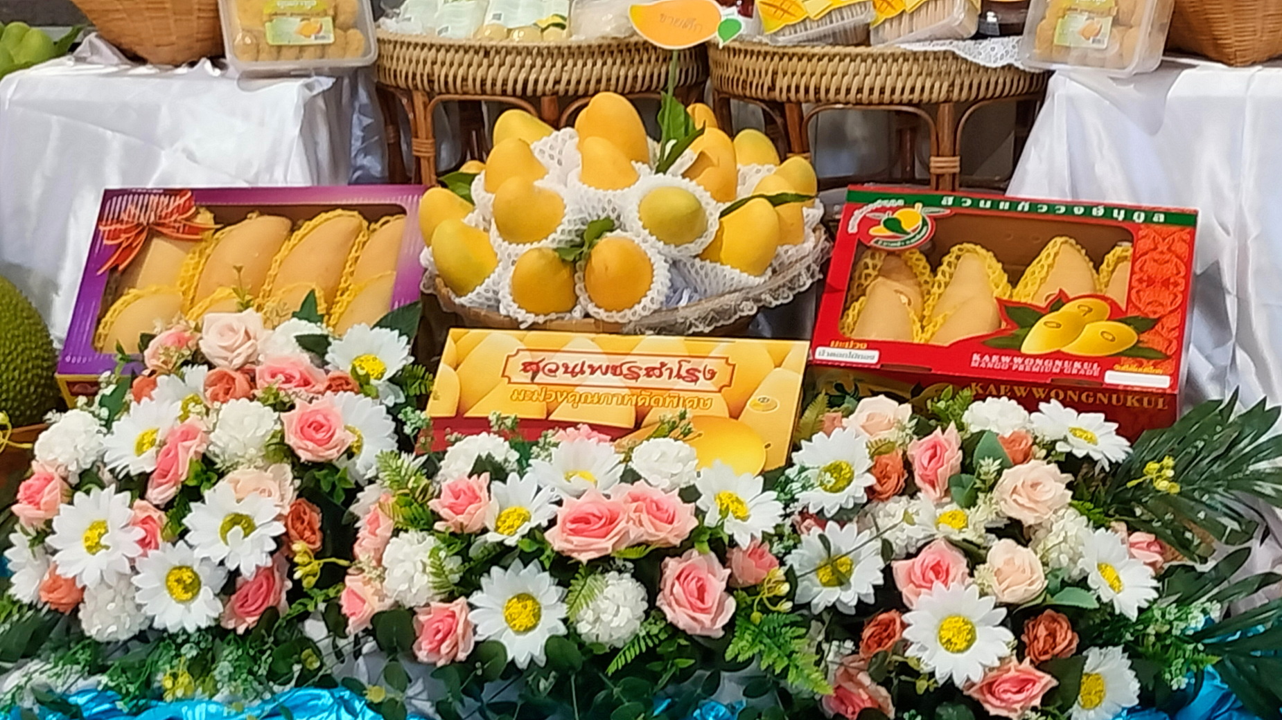 มะม่วงแปดริ้ว ทำเงินสะพัดปีละกว่า 10 ล้านบาทเตรียมจัดงานขายต่อเนื่องปีที่ 53