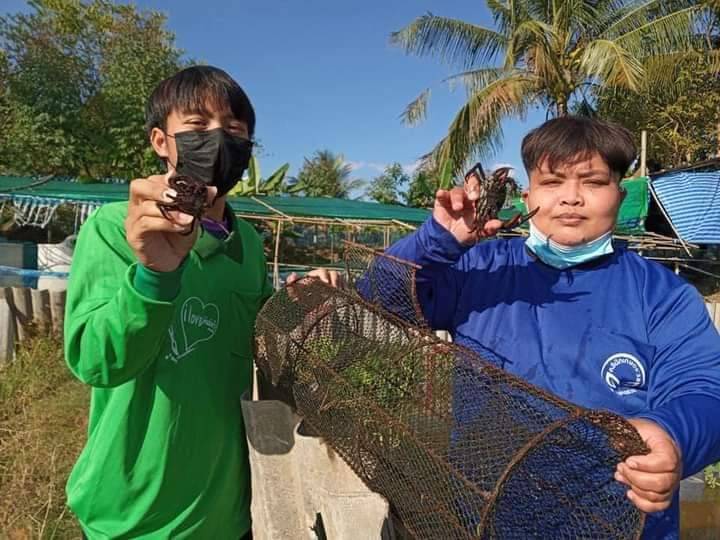 สุดว้าว!อาชีวะเกษตรขอนแก่น ต่อยอดองค์ความรู้สู่ “สุตะธรรมฟาร์มปูนา”      สร้างรายได้ระหว่างเรียน เฉลี่ย 4 หมื่นบาท/เดือน 
