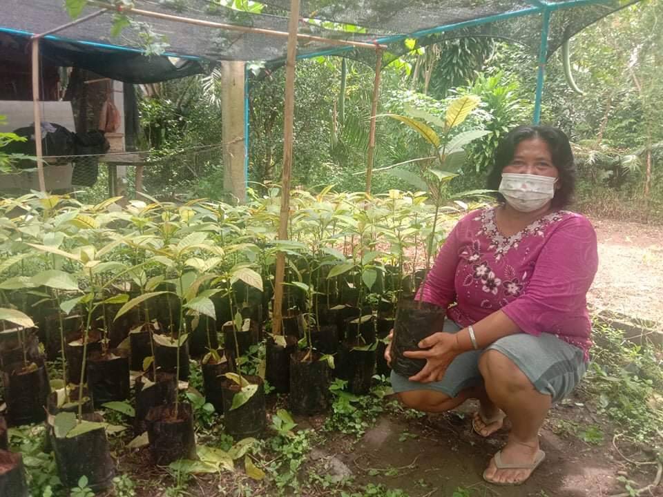 กระท่อมพันธุ์ก้านแดงประจวบฯอัพราคาพุ่ง 100% หลังเครือข่ายนักการเมือง บริษัทข้ามชาติแห่จองคิวซื้อยกสวน