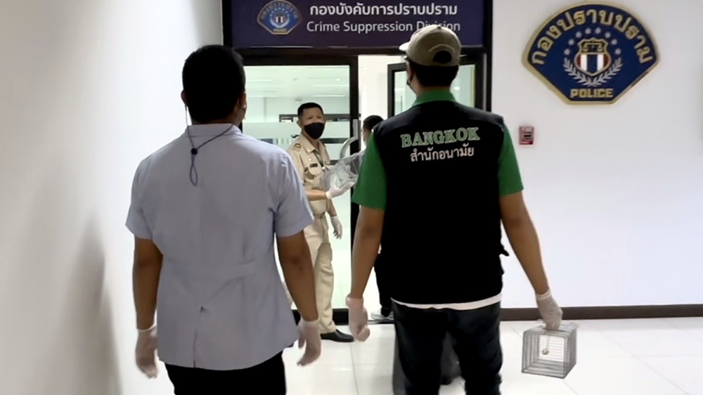 กองปราบฯ ร้องสำนักอนามัย กทม.ช่วยจับหนู