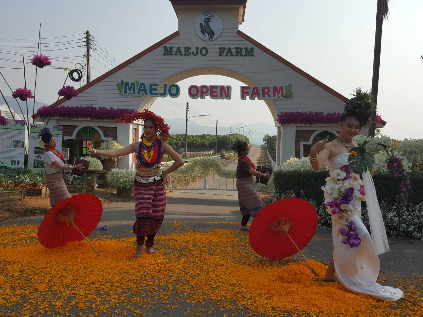 เปิดแล้ว ... Maejo Open Farm 2021 : Online เที่ยวปลอดภัยแบบ New Normal