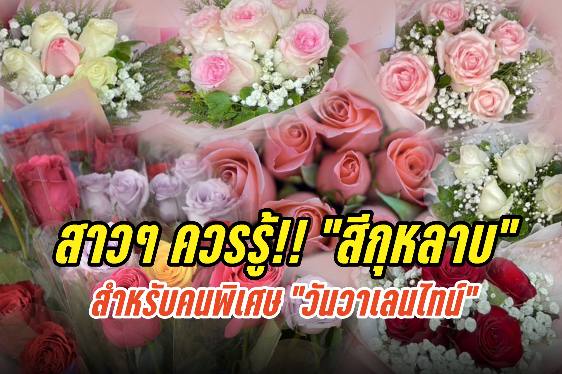 สาวๆ ควรรู้!! ความหมายของ “สีกุหลาบ” สำหรับคนพิเศษ ในวันวาเลนไทน์