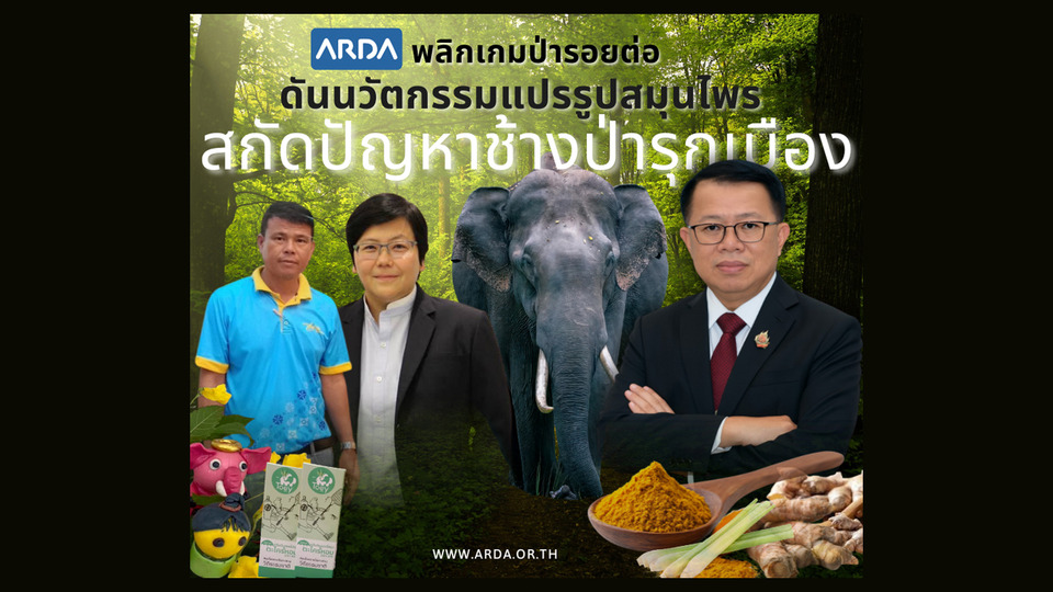 พลิกเกมป่ารอยต่อ! ARDA ดันนวัตกรรมแปรรูปสมุนไพร สร้างเศรษฐกิจสีเขียว-สกัดช้างป่ารุกเมือง–สร้างรายได้ยั่งยืน